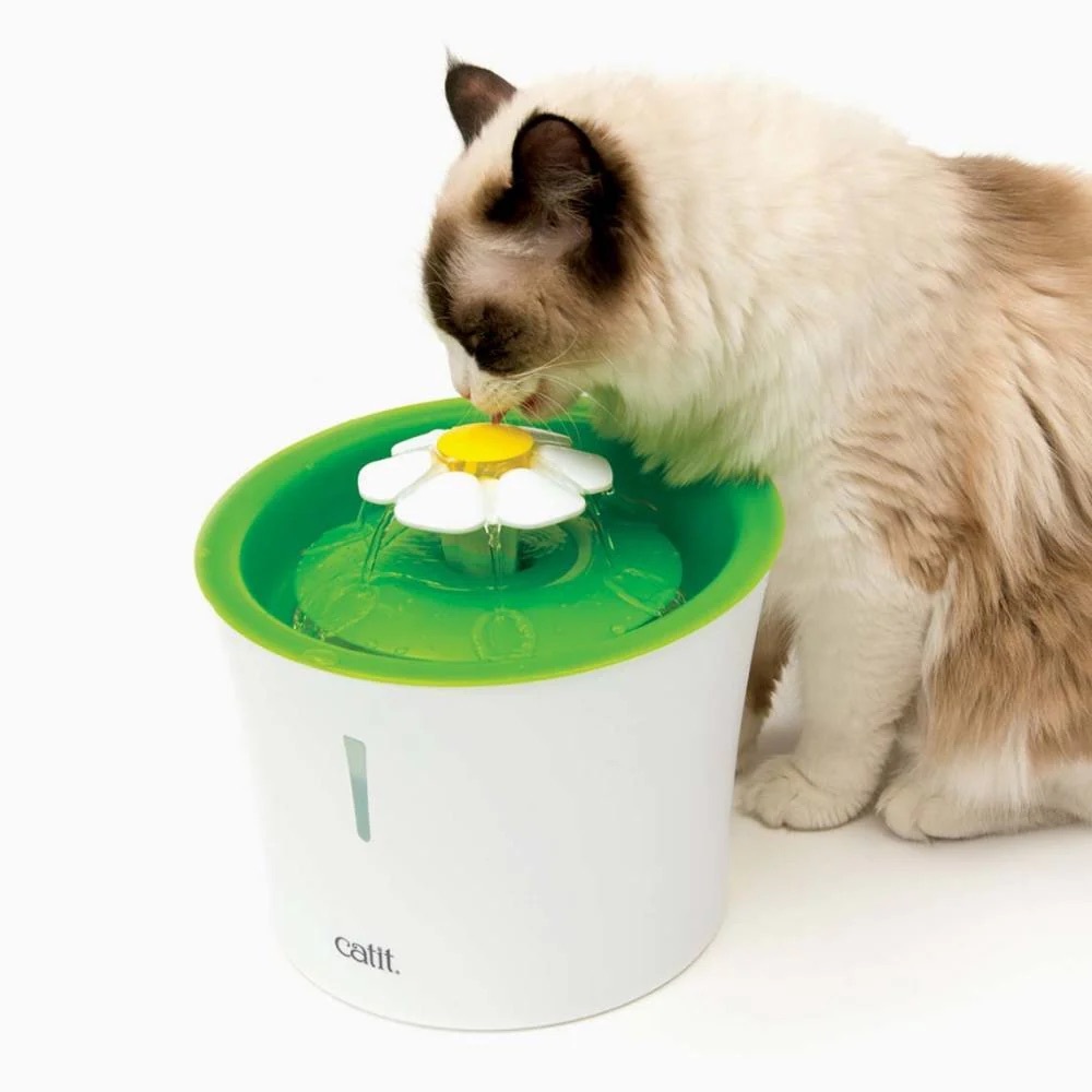 Catit water fountain euc